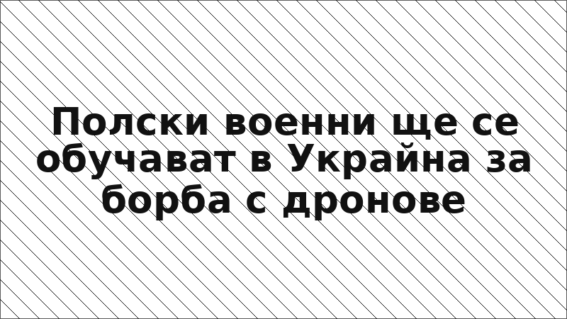 Полски военни ще се обучават в Украйна за борба с дронове