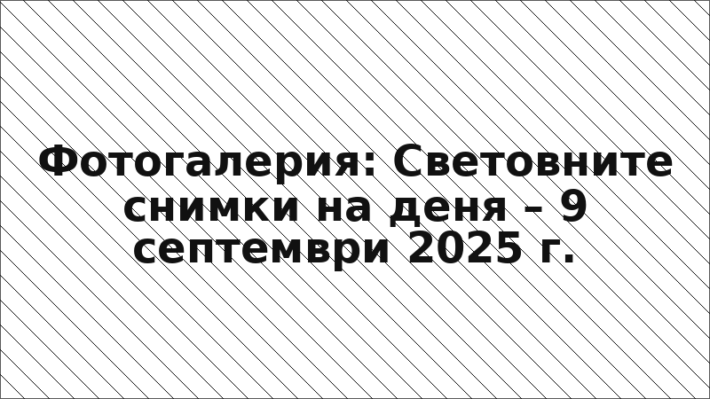 Фотогалерия: Световните снимки на деня – 9 септември 2025 г.