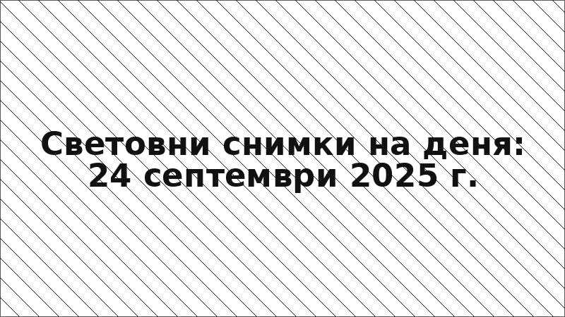 Световни снимки на деня: 24 септември 2025 г.