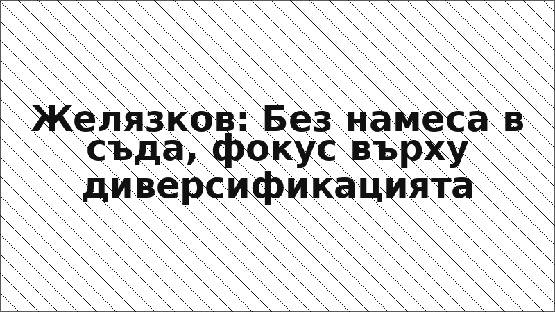 Желязков: Без намеса в съда, фокус върху диверсификацията