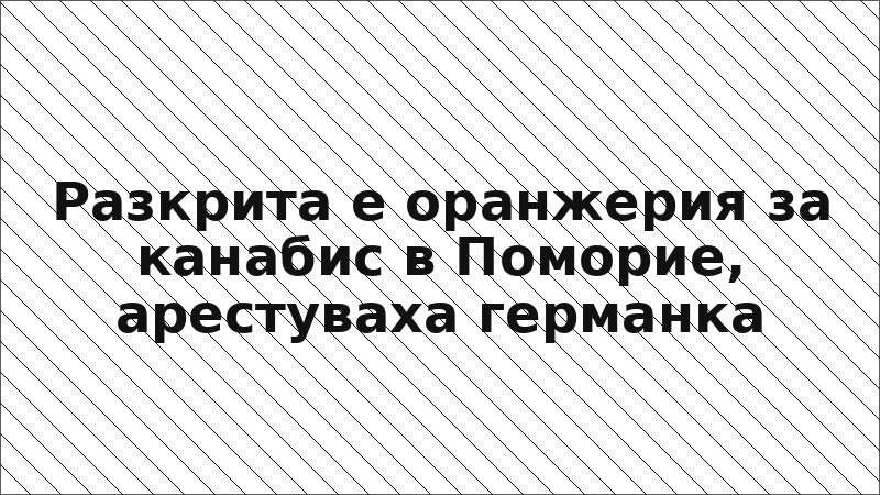 Разкрита е оранжерия за канабис в Поморие, арестуваха германка