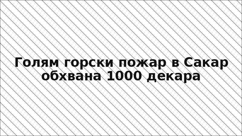 Голям горски пожар в Сакар обхвана 1000 декара