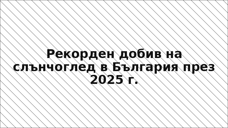 Рекорден добив на слънчоглед в България през 2025 г.