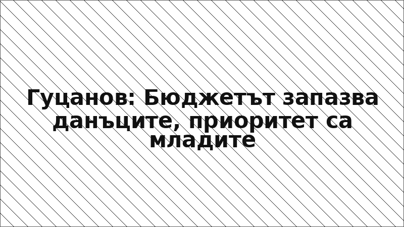 Гуцанов: Бюджетът запазва данъците, приоритет са младите
