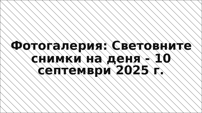 Фотогалерия: Световните снимки на деня - 10 септември 2025 г.