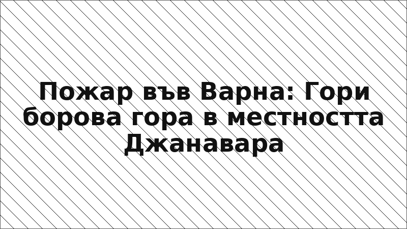 Пожар във Варна: Гори борова гора в местността Джанавара