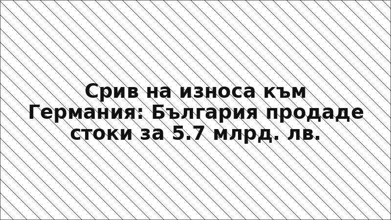 Срив на износа към Германия: България продаде стоки за 5.7 млрд. лв.