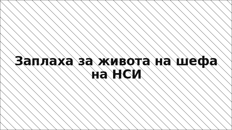Заплаха за живота на шефа на НСИ