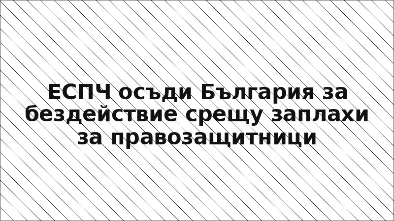 ЕСПЧ осъди България за бездействие срещу заплахи за правозащитници