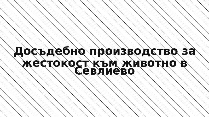 Досъдебно производство за жестокост към животно в Севлиево