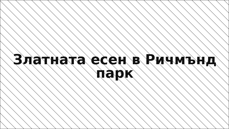 Златната есен в Ричмънд парк