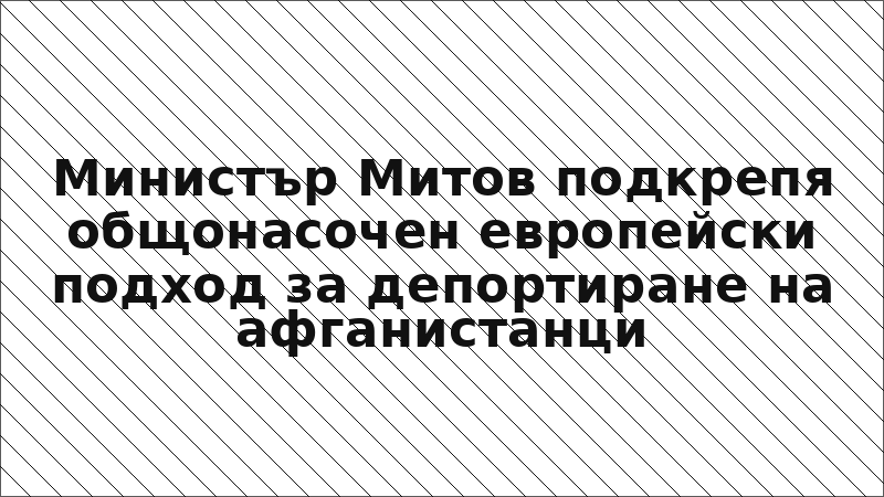 Министър Митов подкрепя общонасочен европейски подход за депортиране на афганистанци