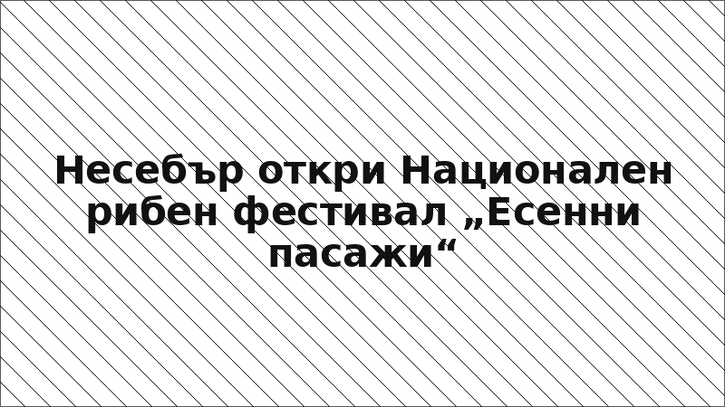 Несебър откри Национален рибен фестивал „Есенни пасажи“