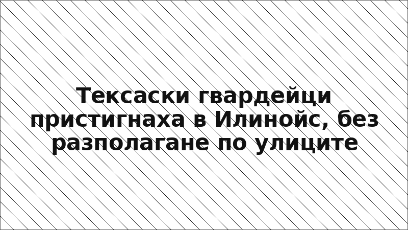 Тексаски гвардейци пристигнаха в Илинойс, без разполагане по улиците