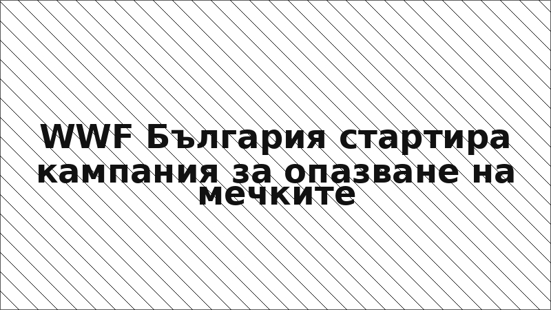 WWF България стартира кампания за опазване на мечките