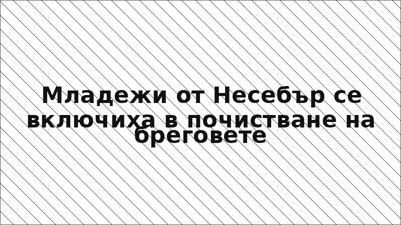 Младежи от Несебър се включиха в почистване на бреговете