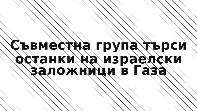 Съвместна група търси останки на израелски заложници в Газа