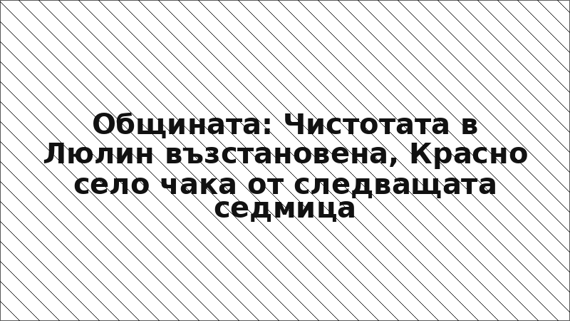 Общината: Чистотата в Люлин възстановена, Красно село чака от следващата седмица