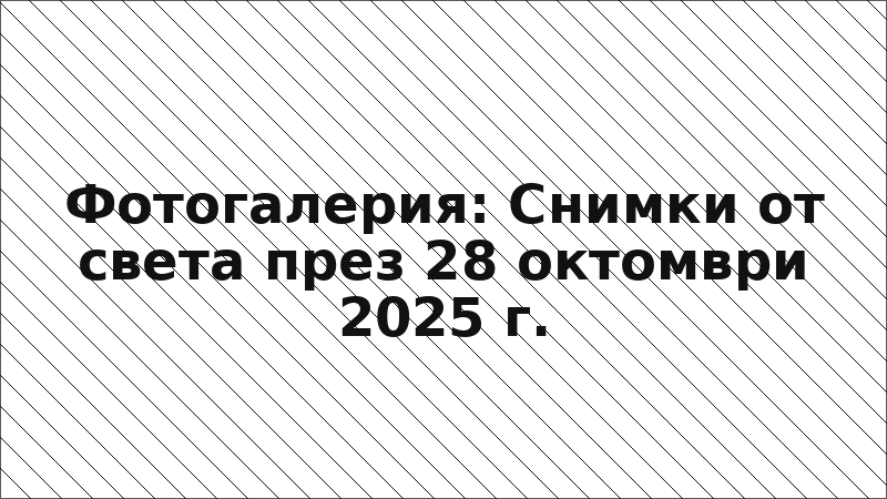 Фотогалерия: Снимки от света през 28 октомври 2025 г.