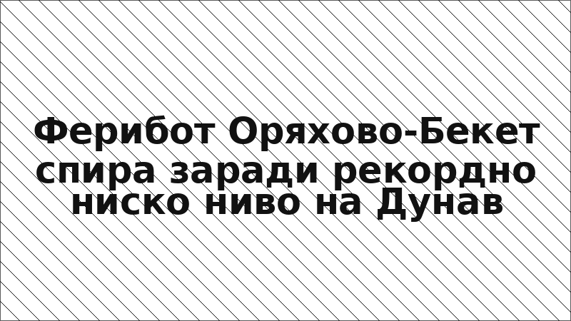 Ферибот Оряхово-Бекет спира заради рекордно ниско ниво на Дунав