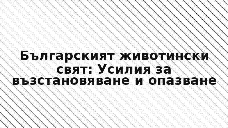 Българският животински свят: Усилия за възстановяване и опазване