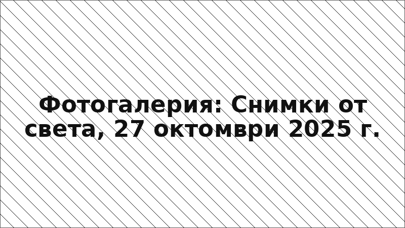 Фотогалерия: Снимки от света, 27 октомври 2025 г.