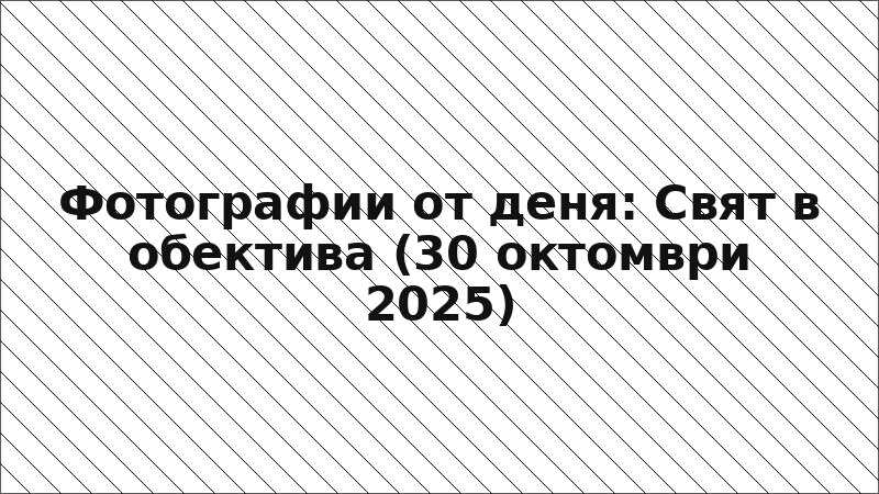 Фотографии от деня: Свят в обектива (30 октомври 2025)