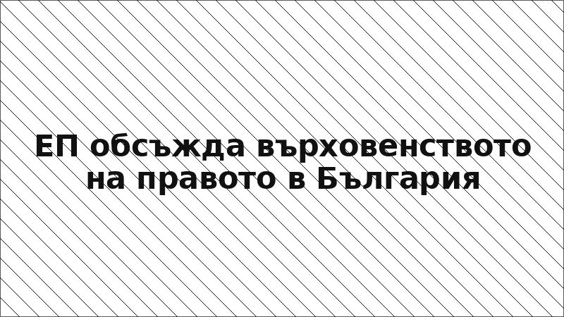 ЕП обсъжда върховенството на правото в България