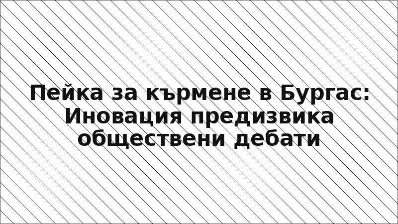 Пейка за кърмене в Бургас: Иновация предизвика обществени дебати