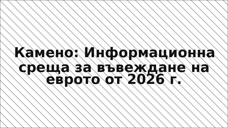 Камено: Информационна среща за въвеждане на еврото от 2026 г.