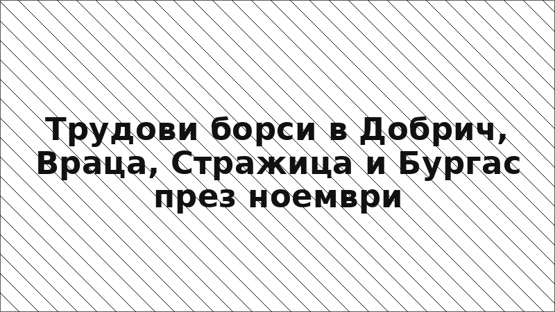 Трудови борси в Добрич, Враца, Стражица и Бургас през ноември