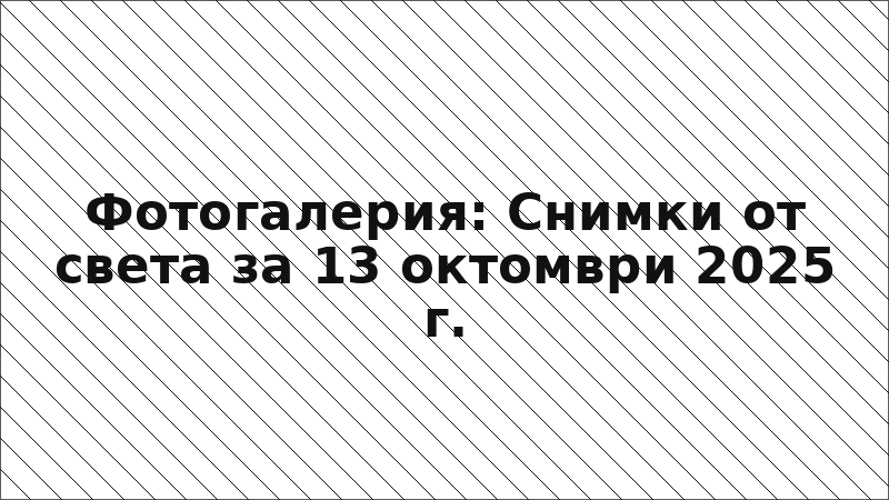 Фотогалерия: Снимки от света за 13 октомври 2025 г.