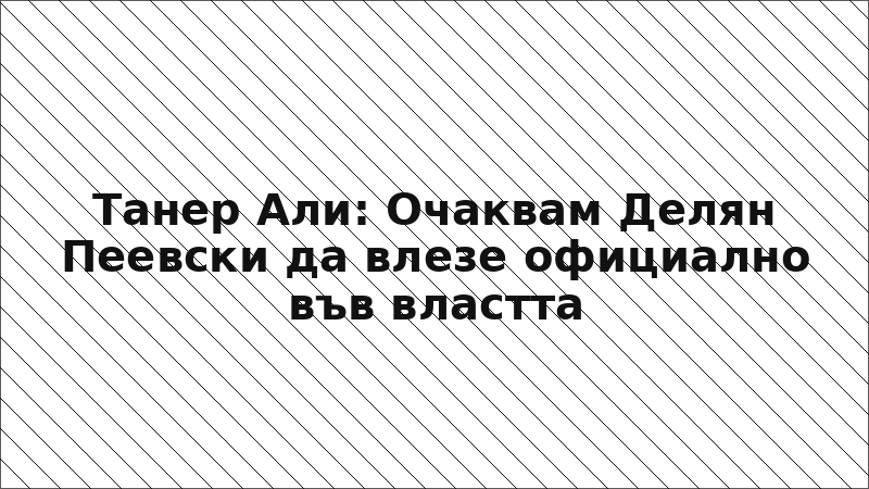 Танер Али: Очаквам Делян Пеевски да влезе официално във властта