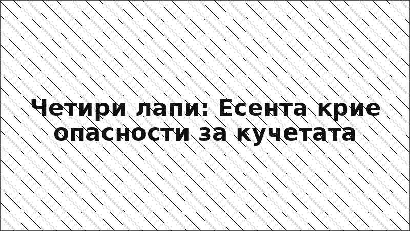 Четири лапи: Есента крие опасности за кучетата