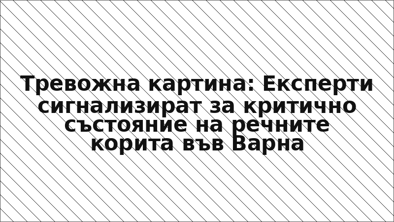Тревожна картина: Експерти сигнализират за критично състояние на речните корита във Варна