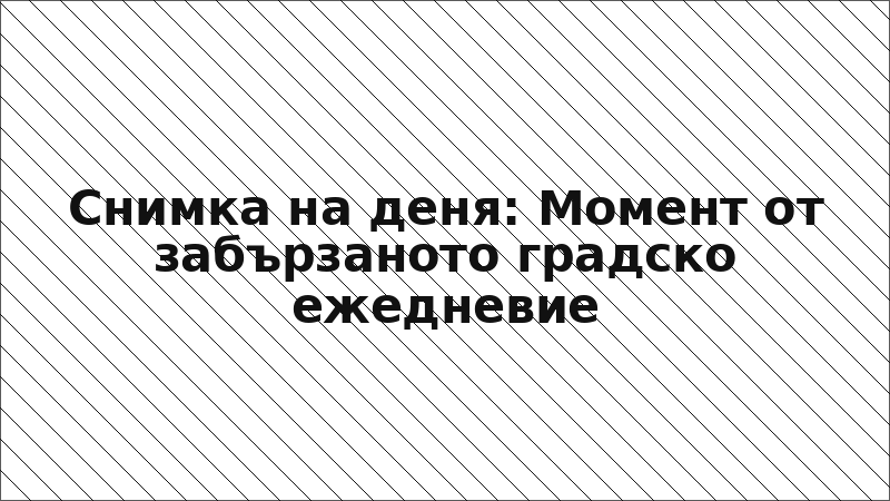 Снимка на деня: Момент от забързаното градско ежедневие