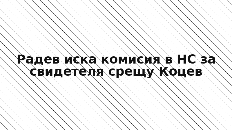 Радев иска комисия в НС за свидетеля срещу Коцев