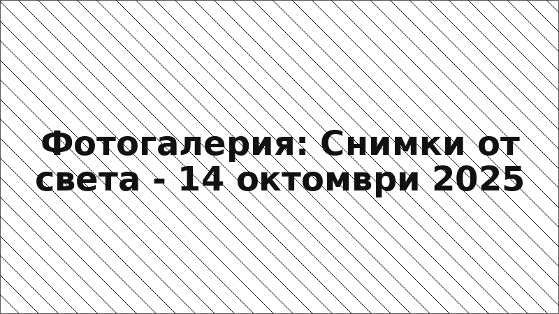 Фотогалерия: Снимки от света - 14 октомври 2025