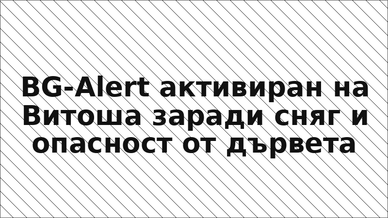 BG-Alert активиран на Витоша заради сняг и опасност от дървета