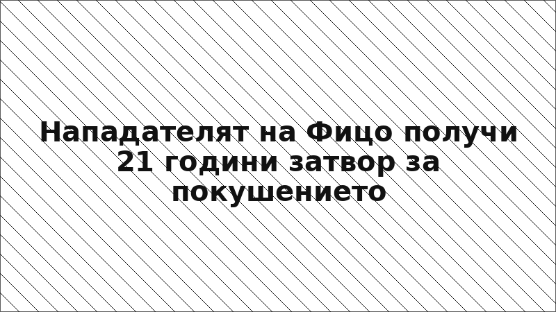 Нападателят на Фицо получи 21 години затвор за покушението