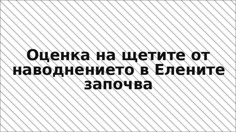 Оценка на щетите от наводнението в Елените започва