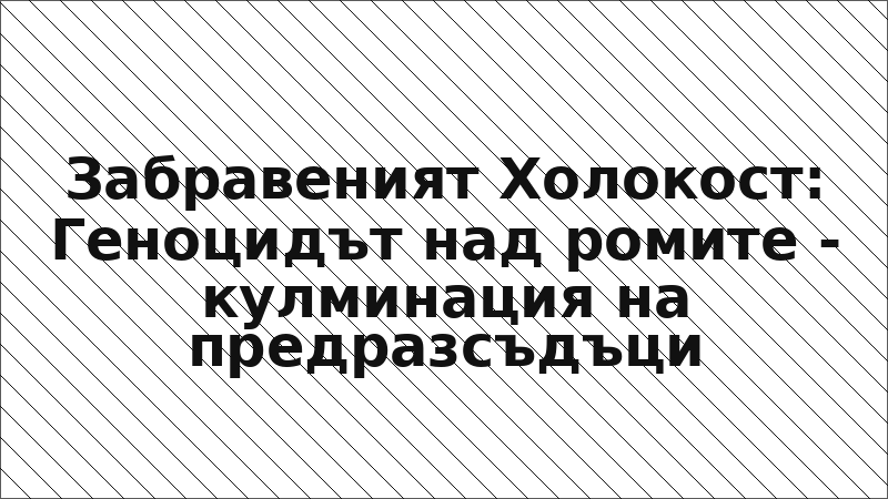 Забравеният Холокост: Геноцидът над ромите - кулминация на предразсъдъци