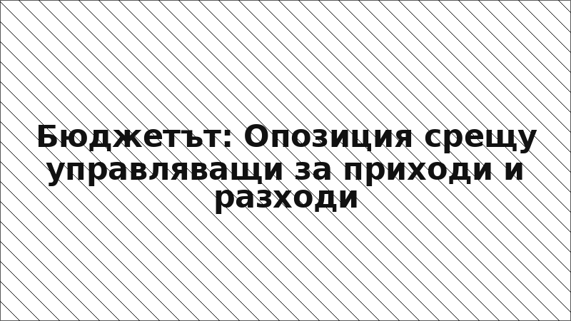 Бюджетът: Опозиция срещу управляващи за приходи и разходи