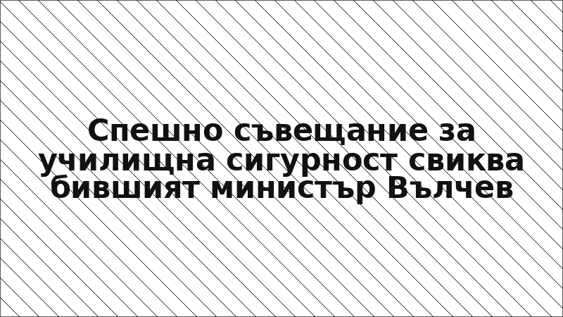 Спешно съвещание за училищна сигурност свиква бившият министър Вълчев