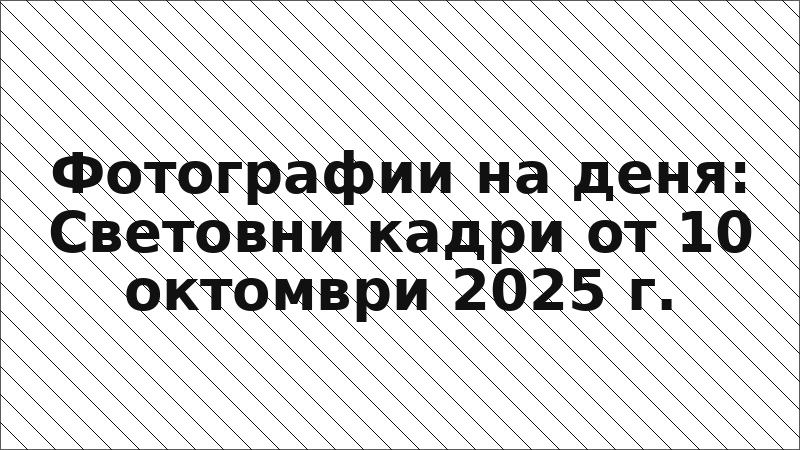 Фотографии на деня: Световни кадри от 10 октомври 2025 г.