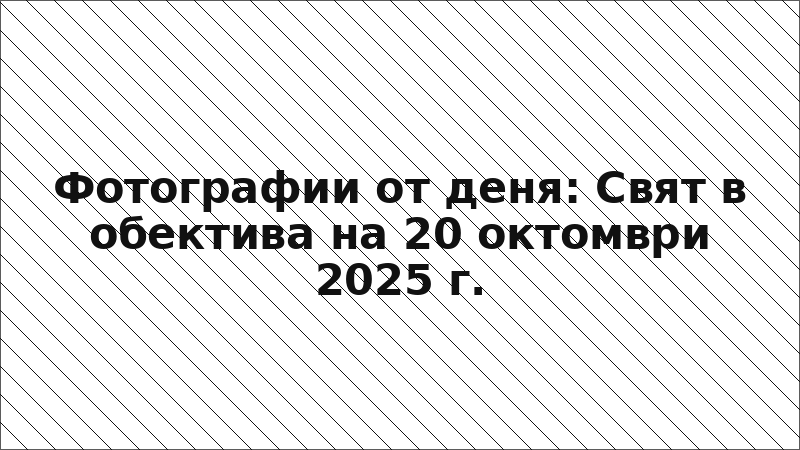 Фотографии от деня: Свят в обектива на 20 октомври 2025 г.