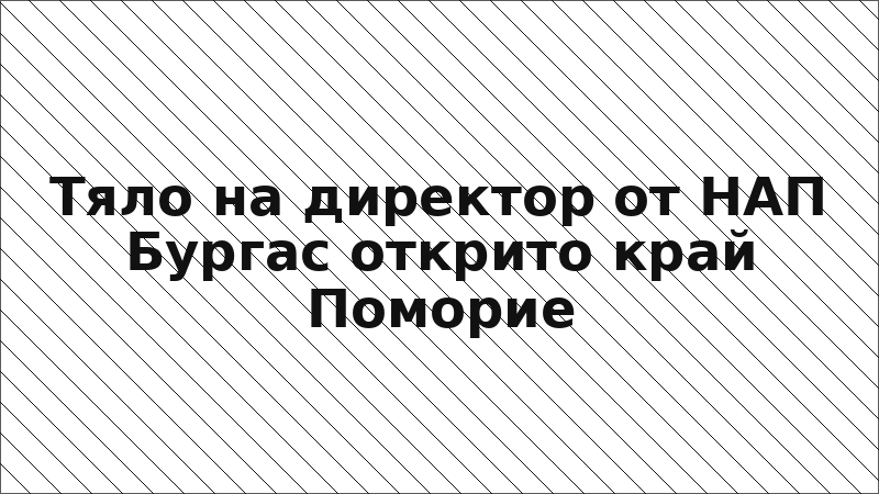 Тяло на директор от НАП Бургас открито край Поморие