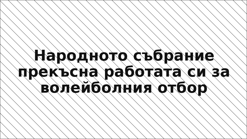 Народното събрание прекъсна работата си за волейболния отбор