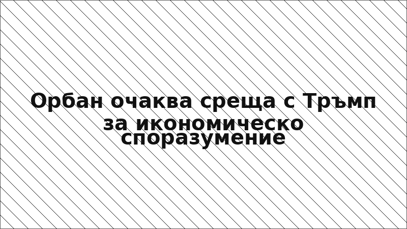 Орбан очаква среща с Тръмп за икономическо споразумение
