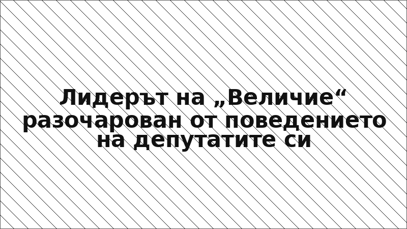 Лидерът на „Величие“ разочарован от поведението на депутатите си
